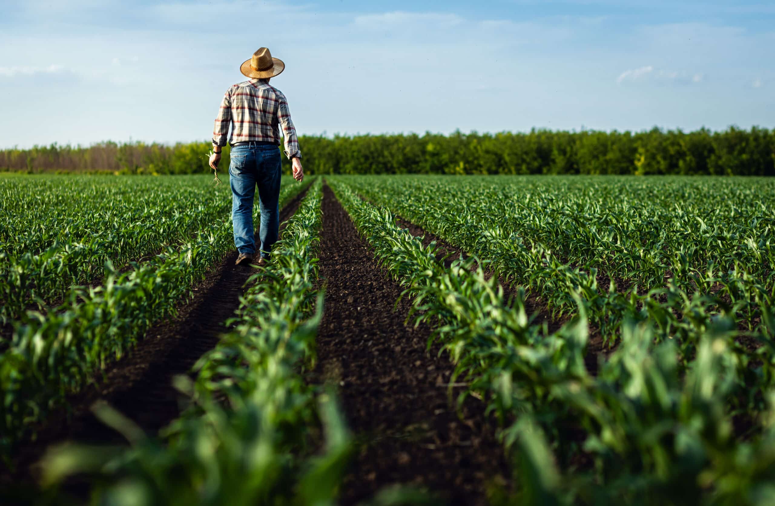 Farmer-walking-through-field