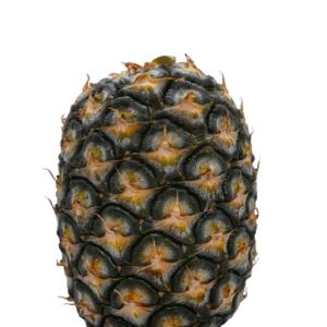 PINEAPPLE CROWNLESS