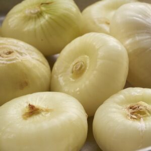 ONION CIPPOLINI PEELED