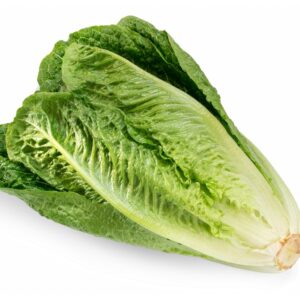 LETTUCE ROMAINE (RF)