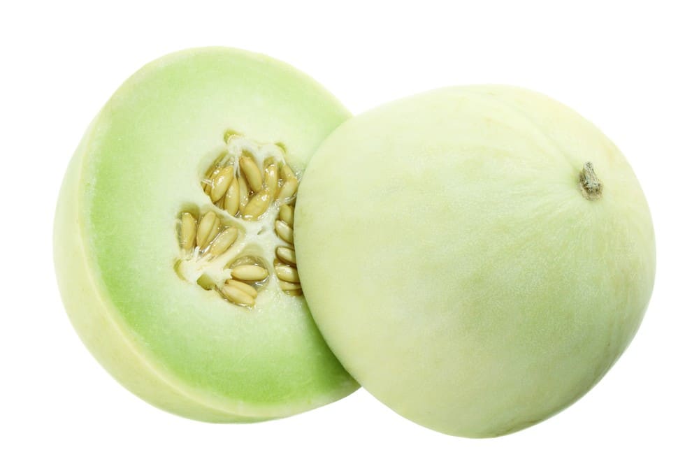 MELON HONEYDEW FRESH CUT