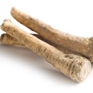 ROOT HORSERADISH