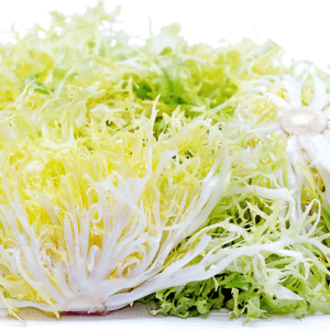 LETTUCE FRISEE BLONDE