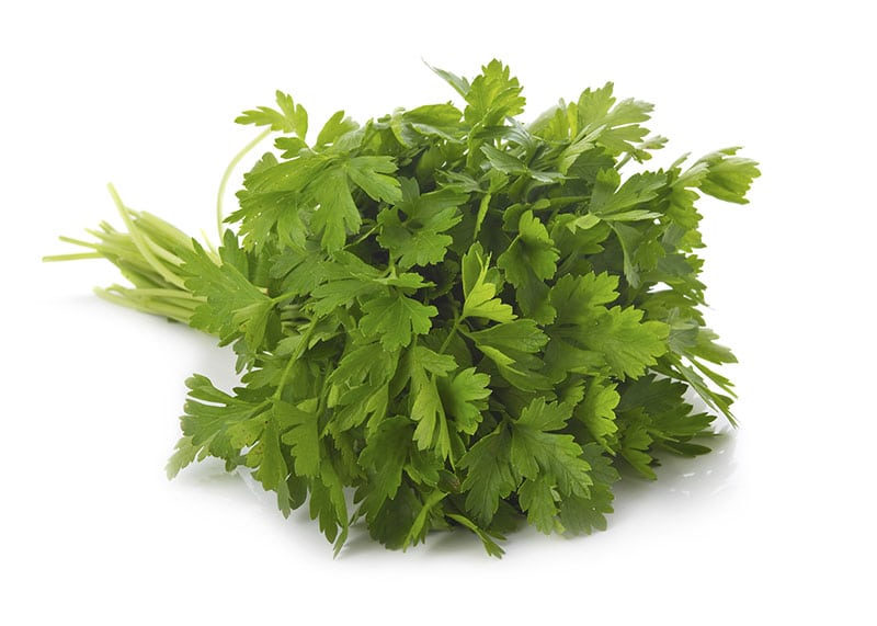 HERB PARSLEY CLEANED/WA