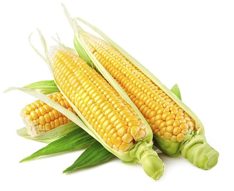 CORN YELLOW 48-50CT