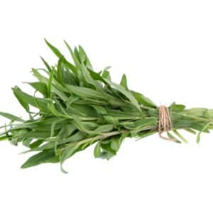 HERB TARRAGON