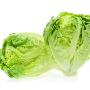 LETTUCE BABY GEM