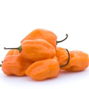 PEPPER HABANERO ORANGE