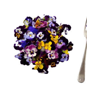 FLOWER EDIBLE PANSY