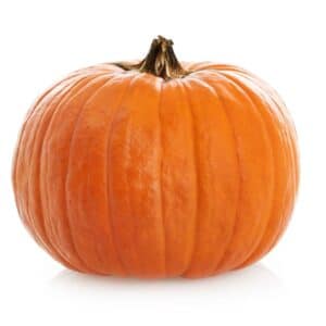 PUMPKIN LARGE 30/35CT