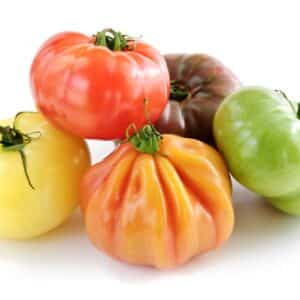 TOMATO LARGE HEIRLOOM