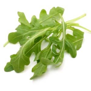 MICRO ARUGULA
