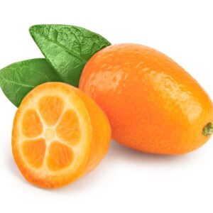 CITRUS KUMQUAT