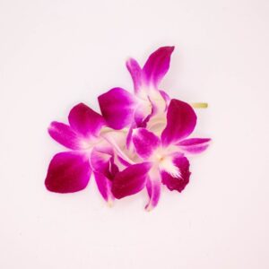 FLOWER EDIBLE ORCHID