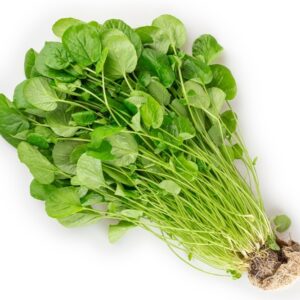 GREENS UPLAND-CRESS
