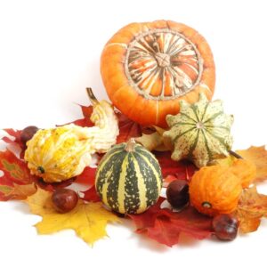 GOURDS ORNAMENTAL BULK