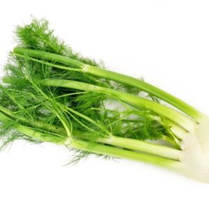 FENNEL
