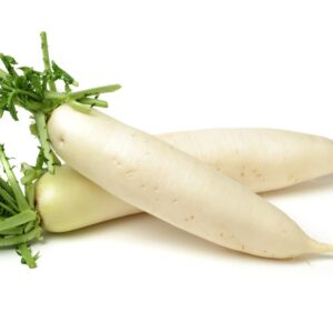 MICRO DAIKON RADISH