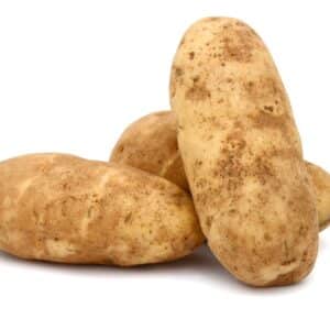POTATO IDAHO 60CT (RB)