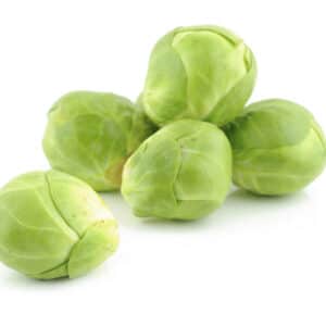 BRUSSELS SPROUTS