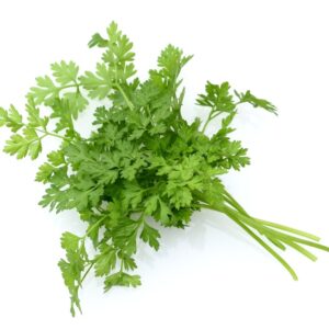 HERB CHERVIL