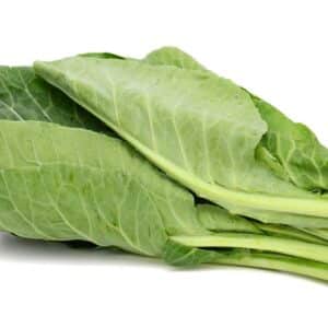 GREENS COLLARD BUNCH