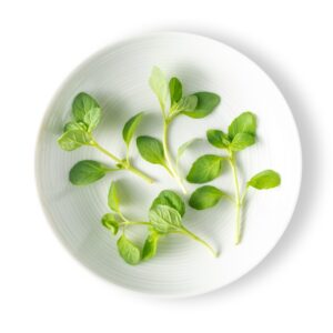 HERB MICRO MINT