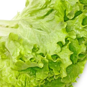 LETTUCE GREEN LEAF