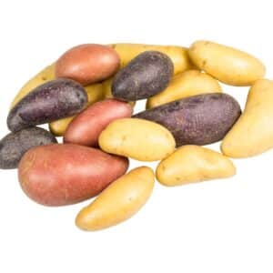 POTATO FINGERLING MIX CO