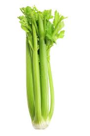 CELERY