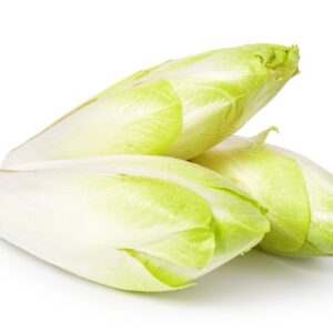 ENDIVE WHITE BELGIAN