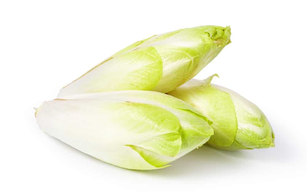 ENDIVE WHITE BELGIAN
