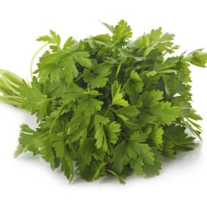 HERB PARSLEY FLAT I