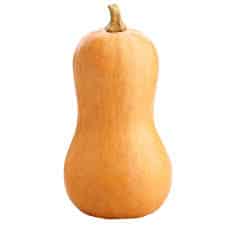 SQUASH BUTTERNUT