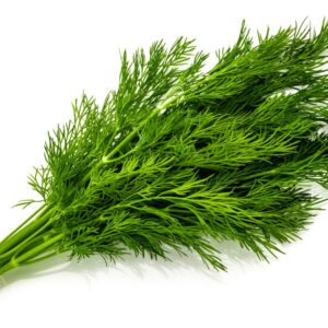 HERB STABILIZED DILL