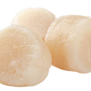 SEAFOOD SCALLOP U-10 DRY