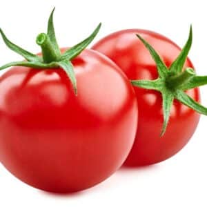 TOMATO 6X6 LARGE
