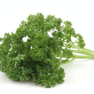 HERB PARSLEY CURLY
