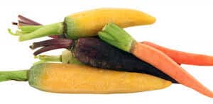 CARROT BABY PEELED TRI-CO