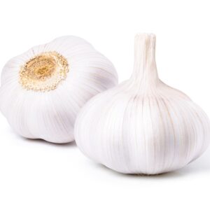 GARLIC FRESH JUMBO