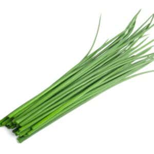 HERB LIVING CHIVE