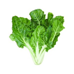 CHARD SWISS BRIGHT LIGHT