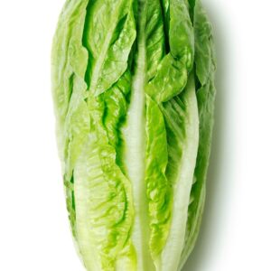 LETTUCE ROMAINE HEART