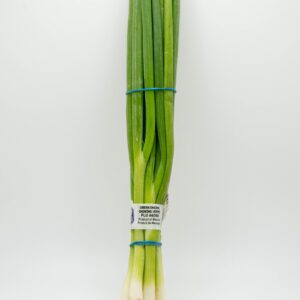 ONION GREEN