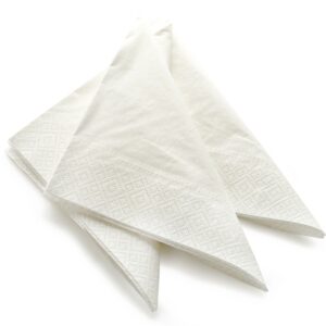 NAPKIN 2PLY 15X17 WH