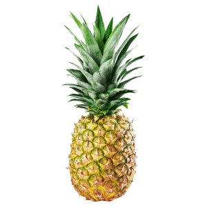 PINEAPPLE PREM GOLDEN
