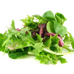 LETTUCE SPRING MIX
