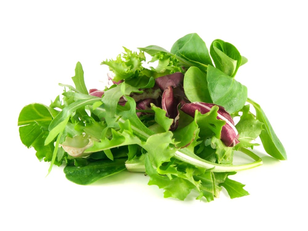GREENS SPICY SPRING MIX