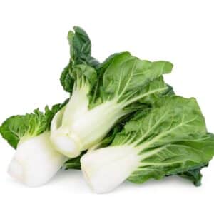 CABBAGE BOK CHOY