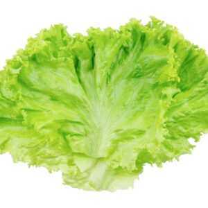 LETTUCE BETTER BURGER